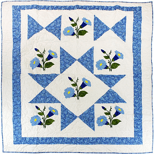 Hand Applique Morning Glory Star design FINISHED QUILT – Queen spread