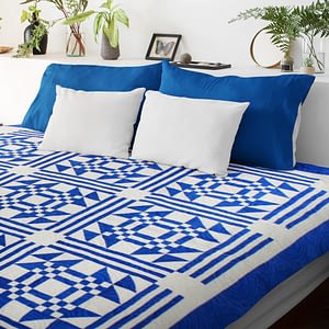 Young Man’s Fancy, Blue & White FINISHED QUILT Graphic Beauty