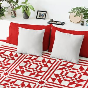 Red & White Young Man’s Fancy FINISHED QUILT Graphic Beauty
